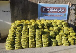 اصغری: ۲۳ ایستگاه برفروبی برای عبور ایمن از زمستان در سنندج فعال شد