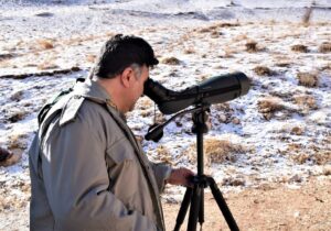 سفیدی:سرشماری زمستانه پستانداران در زیستگاههای اردبیل آغاز شد