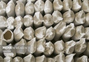 کشف ۴۱ هزار تن برنج و نهاده دامی قاچاق و احتکاری