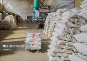 توزیع برنج دولتی در بوشهر آغاز شد