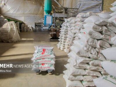 توزیع برنج دولتی در بوشهر آغاز شد