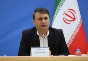 فتح اللهی: سمنها بازوی توانمند دولت در حل مسائل اجتماعی هستند