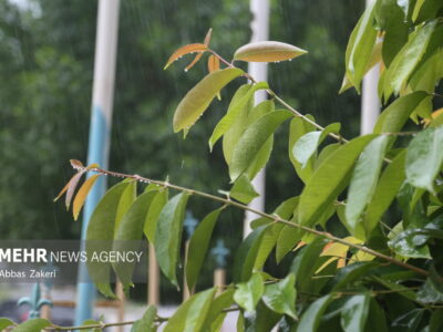 ورود موج اصلی بارش ها به هشتبندی هرمزگان