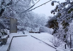 بارش برف اشکور رودسر را سفیدپوش کرد