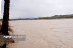 طغیان رودخانه روستای وزیری رودان