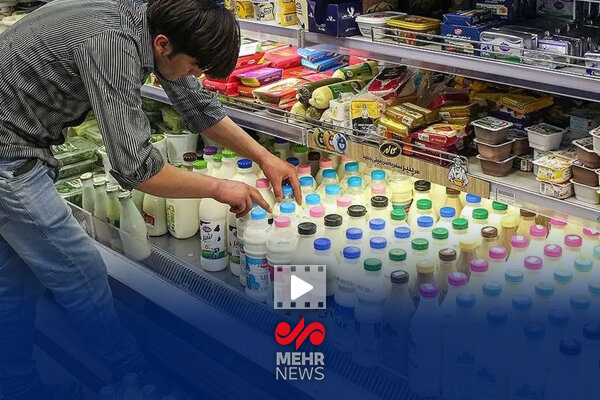 عضو اتحادیه مرکزی دامداران ایران: تصویب قیمت شیر خام، غیرقانونی بوده!