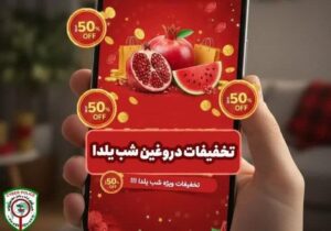 رئیس پلیس فتای بوشهر :مردم مراقب کلاهبرداریهای شب یلدا باشند