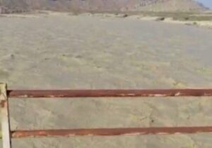 طغیان رودخانه باغان در دشتی