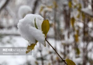 بارش شدید برف در نیشابور