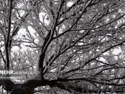 تصاویری از بارش برف در شهرستان طرقبه