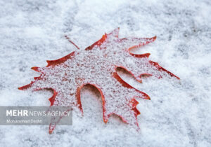 بارش شدید برف در مشهد