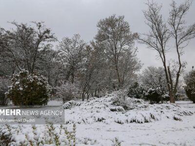 بارش برف پاییزی در اهر