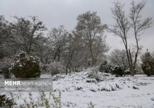 ارتفاع ۴۰ سانتی متری برف در کجور؛ راه ۴۲ روستای بالادست بسته است