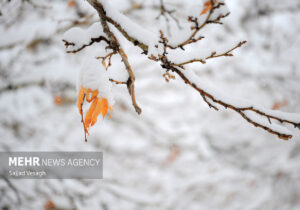 رخت سفید بر تن ارتفاعات استان یزد