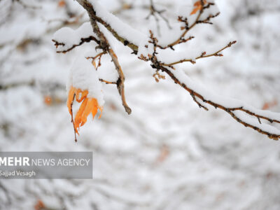 رخت سفید بر تن ارتفاعات استان یزد