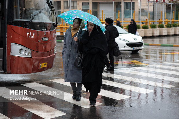 بارش باران در مشهد