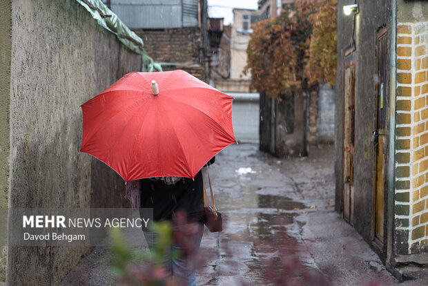 بارش باران در مشهد