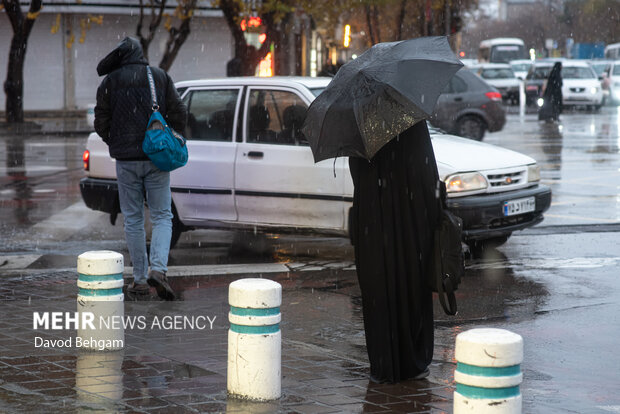 بارش باران در مشهد