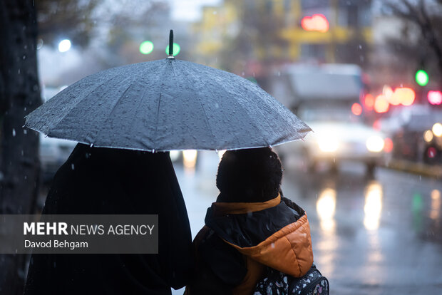 بارش باران در مشهد