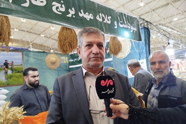 یلدا در سایه گرانی؛ قیمت‌ها معیار قضاوت مردم زاهدان