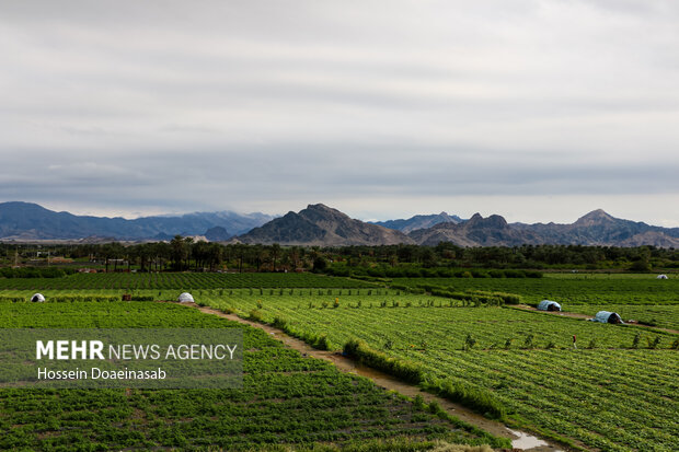 زیبایی طبیعت هشتبندی هرمزگان پس از باران