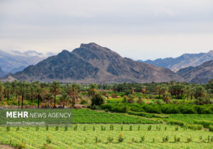 حال و هوای شهر هشتبندی پس از باران