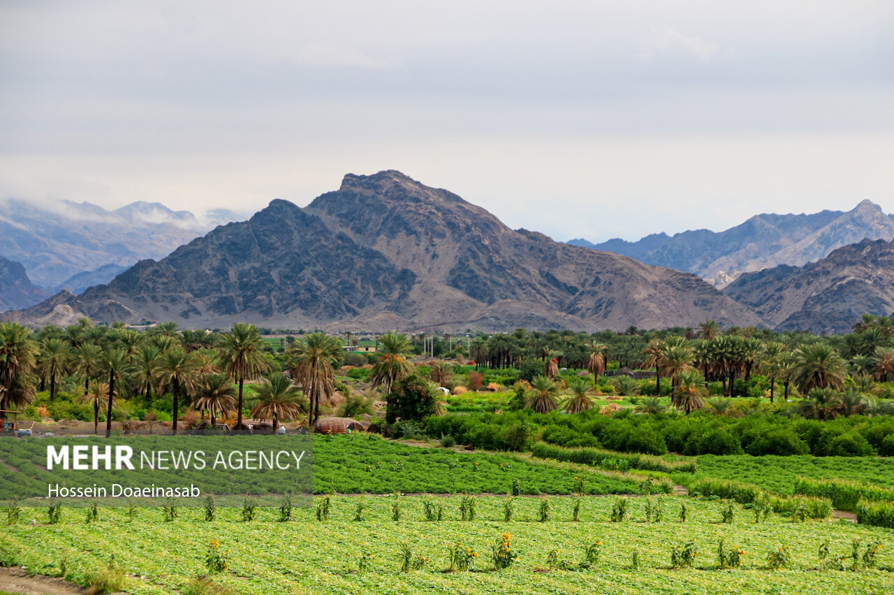 حال و هوای شهر هشتبندی پس از باران حال و هوای شهر هشتبندی پس از باران