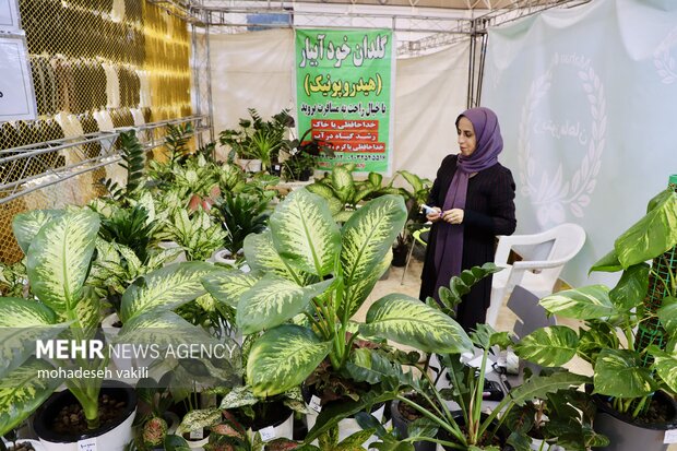 نمایشگاه یلدایی زاهدان؛ تنوع فرهنگ و طعم ها