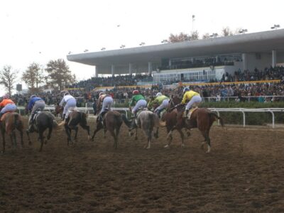 رقابت تنگاتنگ ۷۴ اسب در گنبدکاووس برای کسب جایزه ۲۴ میلیارد ریالی