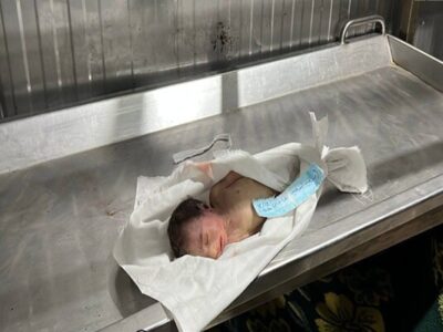 شهادت نوزاد یک ماهه در نوار غزه بهعلت سرمای شدید+ عکس