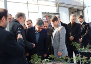 بهرهبرداری از یک گلخانه تولید گل در اندراب سرعین