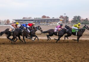 رقابت ۷۰ اسب در روز دوم هفته ششم کورسهای پاییزی گنبدکاووس