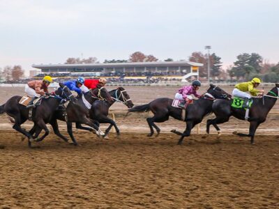 رقابت ۷۰ اسب در روز دوم هفته ششم کورسهای پاییزی گنبدکاووس