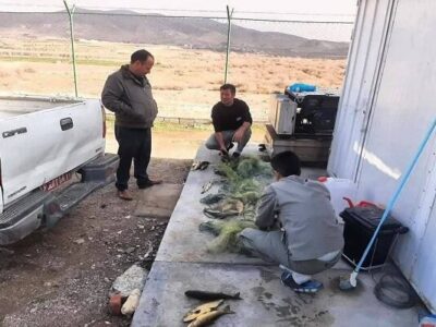 جسور: صیادان متخلف در منطقه حفاظت‌شده تالاب نوروزلو دستگیر شدند