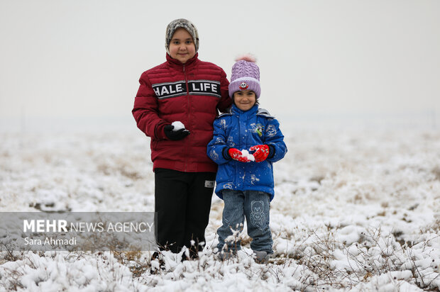 مشهد در یک روز برفی