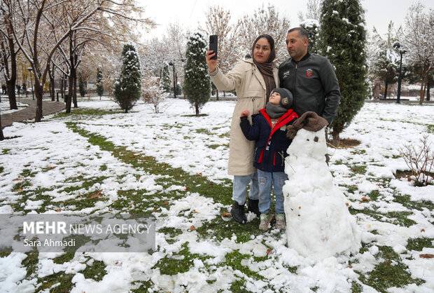 مشهد در یک روز برفی