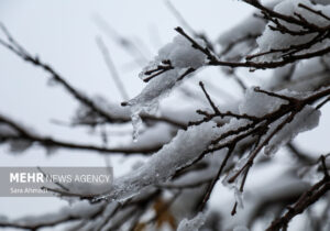 بارش برف در مشهد آغاز شد