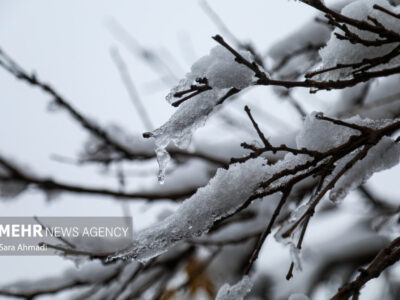 بارش برف در مشهد آغاز شد