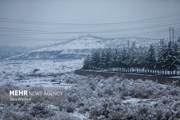 قاسمی: دمای هوای مشهد امشب به منفی ۲ درجه می رسد؛آغاز بارش شدید برف
