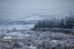 قاسمی: دمای هوای مشهد امشب به منفی ۲ درجه می رسد؛آغاز بارش شدید برف