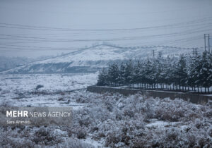 قاسمی: دمای هوای مشهد امشب به منفی ۲ درجه می رسد؛آغاز بارش شدید برف