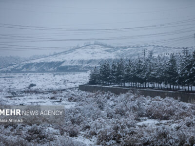 قاسمی: دمای هوای مشهد امشب به منفی ۲ درجه می رسد؛آغاز بارش شدید برف