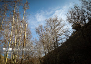 هوای مشهد قابل قبول است