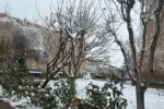 یک روز برفی در شهرستان چناران