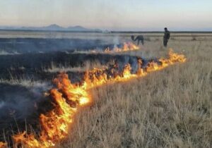 آتشسوزی در جنوب پارک ملی دریاچه ارومیه مهار شد