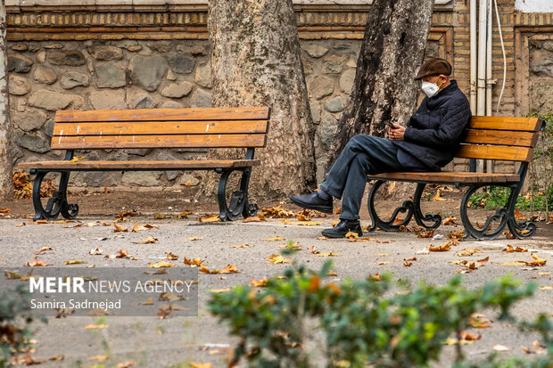 آخرین روزهای پاییز تهران