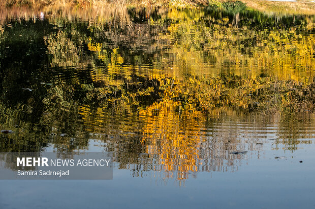 آخرین روزهای پاییز تهران