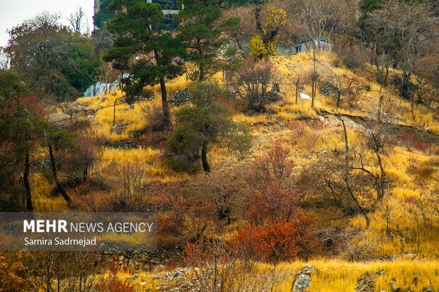 آخرین روزهای پاییز تهران