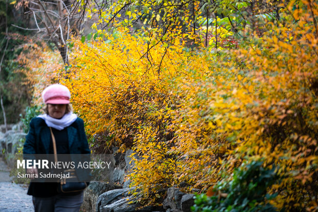 آخرین روزهای پاییز تهران