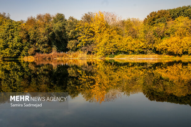 آخرین روزهای پاییز تهران